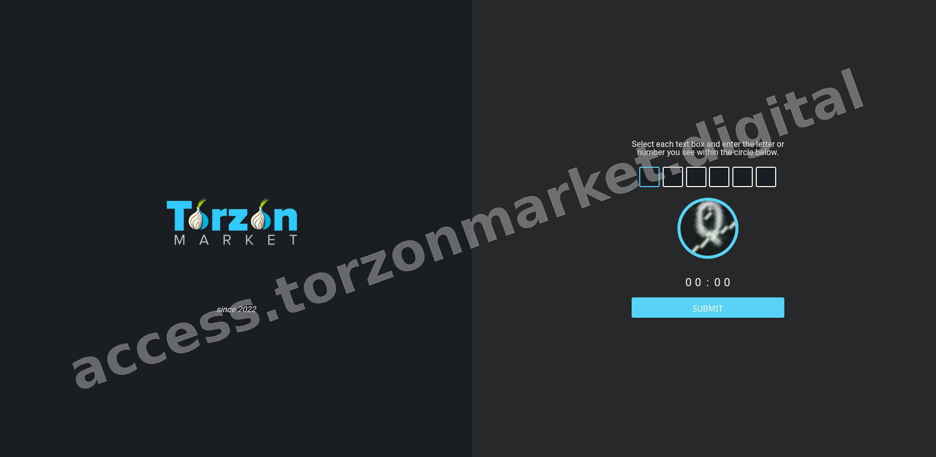 DDoS Protection Screen